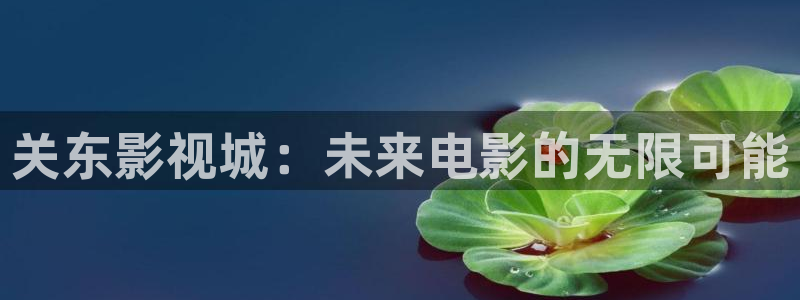 久久爱午夜影院